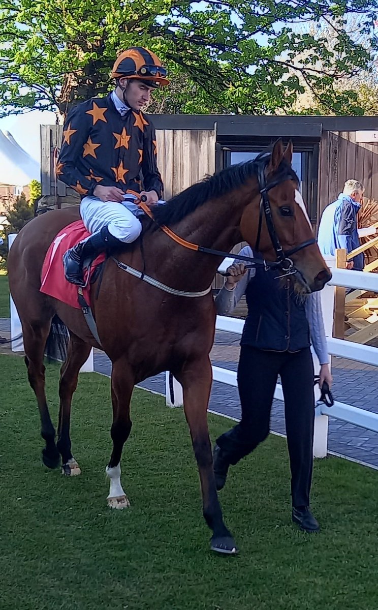 FluffyPickle's tweet photo. Thank you @Ether1971 for these photos of Watchdog a winner today for @RichardFaheyERC 🖤🧡🥰 https://t.co/ymJJvBQTE3