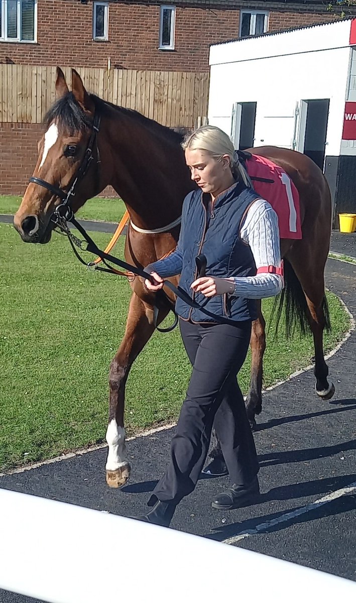 FluffyPickle's tweet photo. Thank you @Ether1971 for these photos of Watchdog a winner today for @RichardFaheyERC 🖤🧡🥰 https://t.co/ymJJvBQTE3