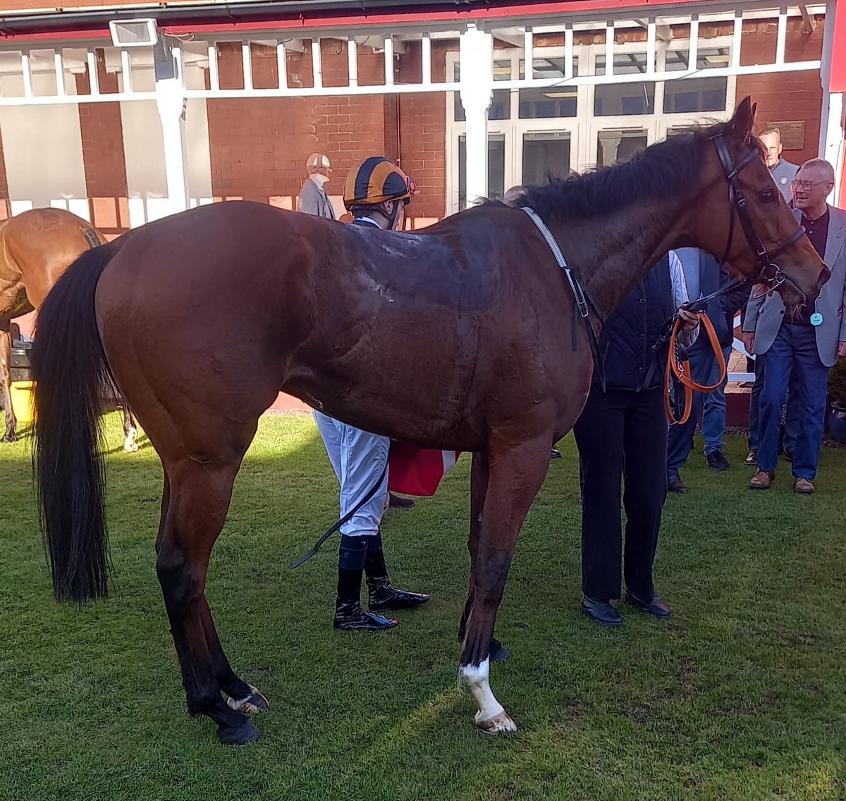FluffyPickle's tweet photo. Thank you @Ether1971 for these photos of Watchdog a winner today for @RichardFaheyERC 🖤🧡🥰 https://t.co/ymJJvBQTE3