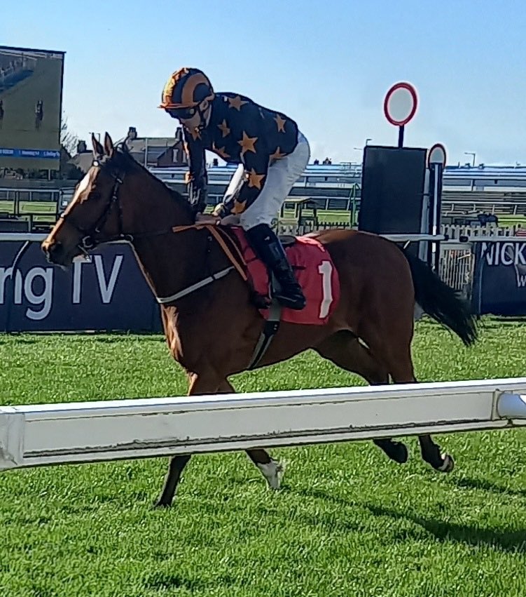 FluffyPickle's tweet photo. Thank you @Ether1971 for these photos of Watchdog a winner today for @RichardFaheyERC 🖤🧡🥰 https://t.co/ymJJvBQTE3