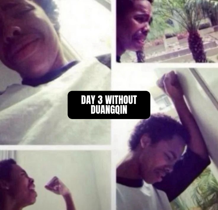 avi with you 🐋 tweet media