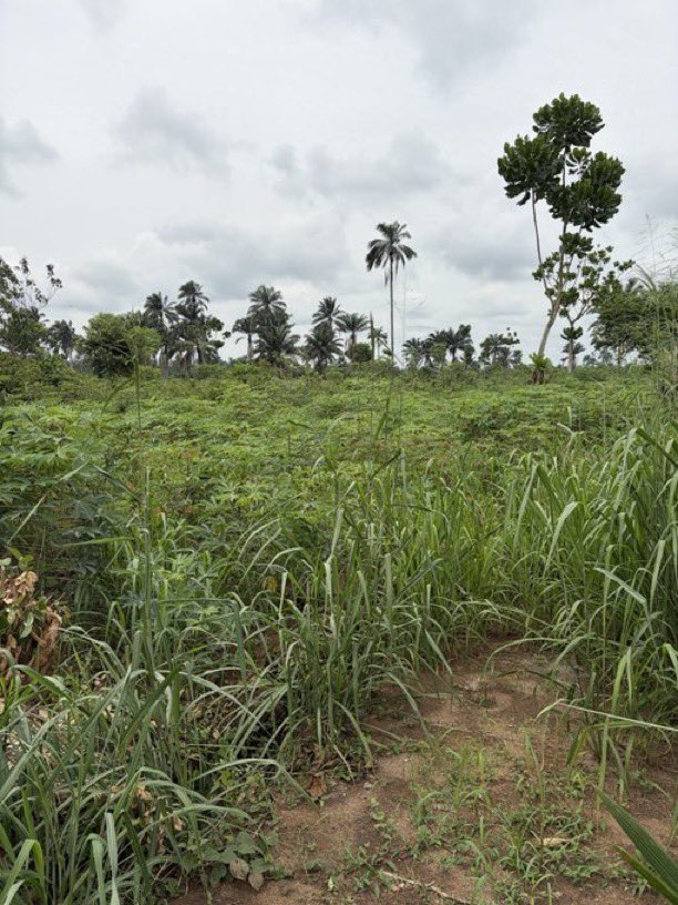 Kenn_eth tweet media