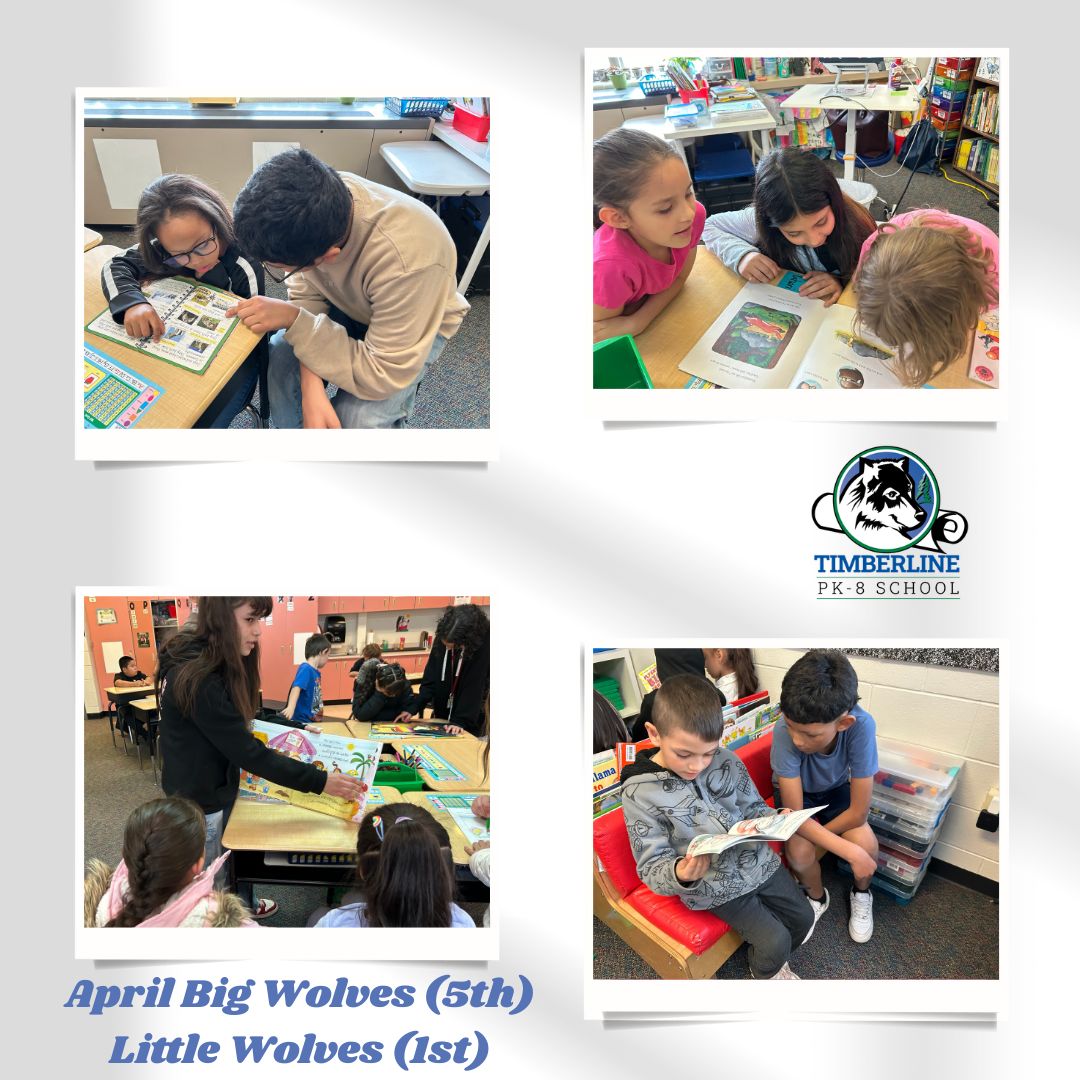 TimberlinePK8's tweet photo. Earlier this month, our Big Wolves and Little Wolves shared some special moments of connection and learning. Our older students stepped into leadership roles with their younger peers. These experiences show what it truly means to be One School, One Team. @KarlaAllenbach https://t.co/HwQQhaFT9s