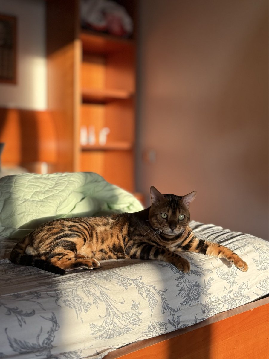 тиш 🇷🇺 tweet media