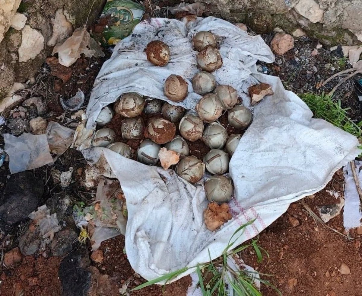 QalaatAlMudiq's tweet image. #Syria: clearing the fields of S. #Aleppo countryside from a long-term Russian poison.