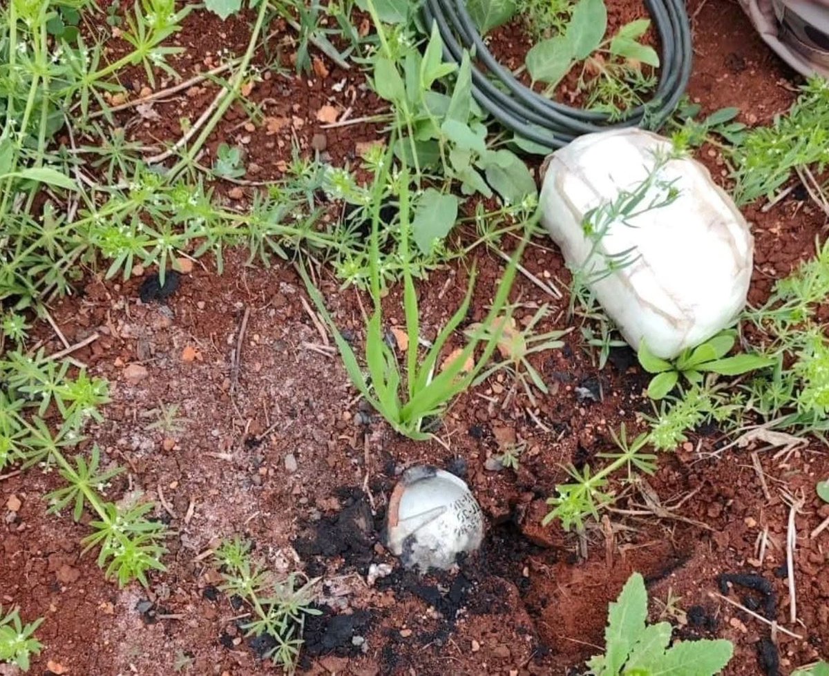 QalaatAlMudiq's tweet image. #Syria: clearing the fields of S. #Aleppo countryside from a long-term Russian poison.