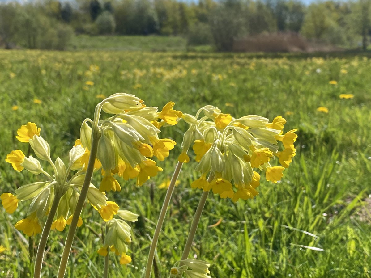 Martin Williamson tweet media