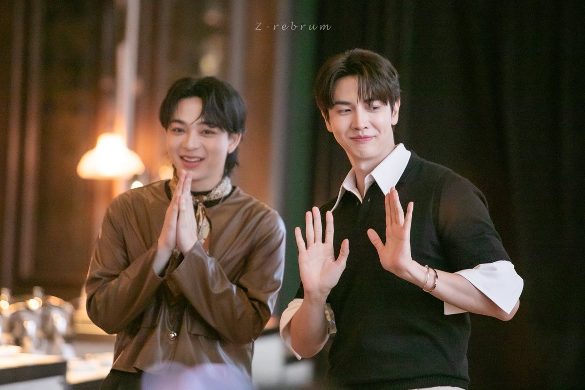 Z-rebrum tweet media