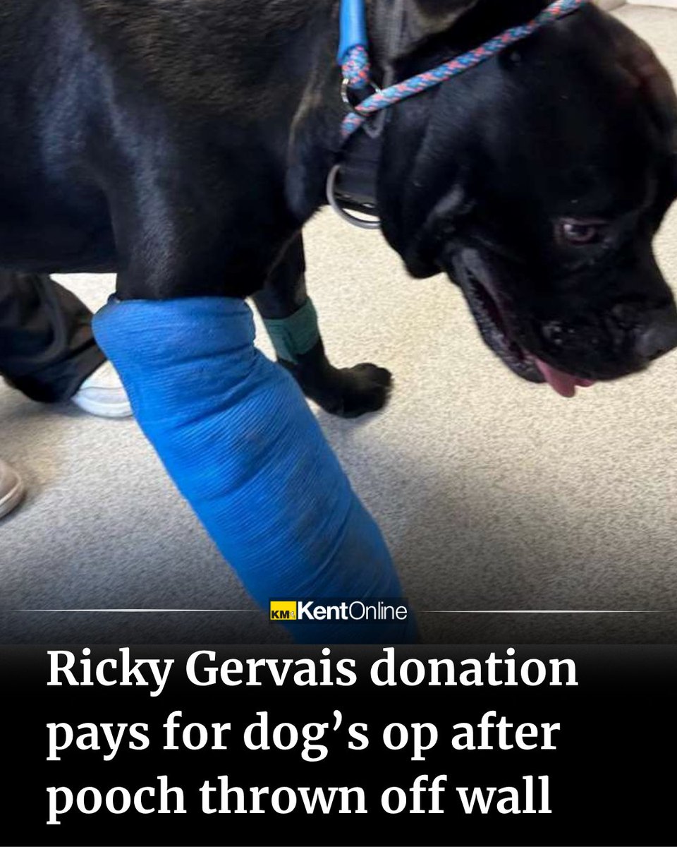 KentOnline tweet media