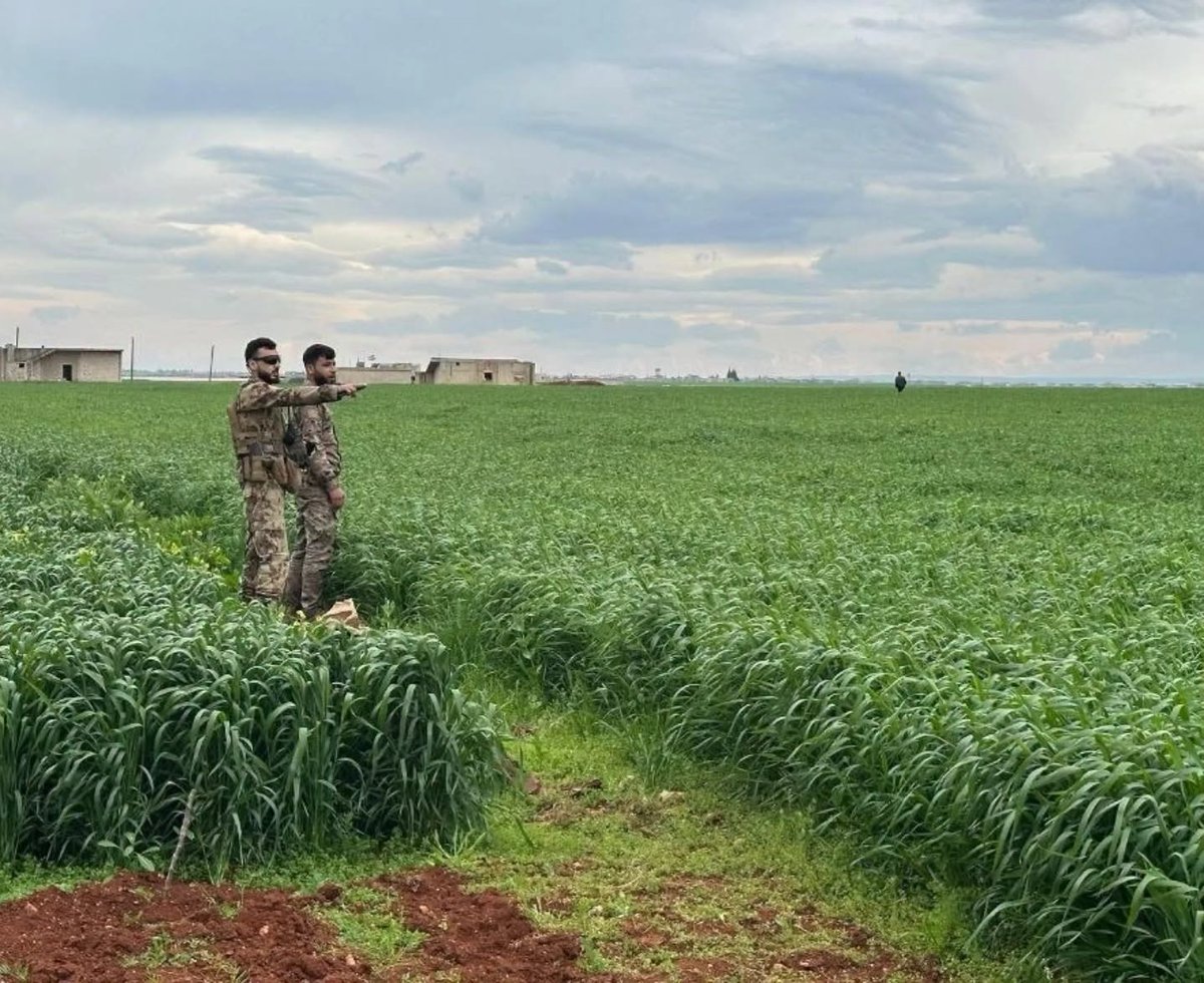 QalaatAlMudiq's tweet image. #Syria: clearing the fields of S. #Aleppo countryside from a long-term Russian poison.