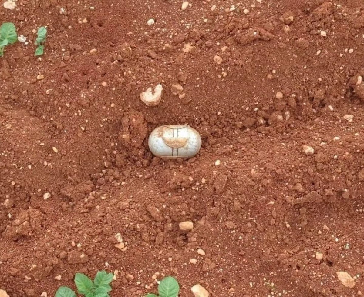 QalaatAlMudiq's tweet image. #Syria: clearing the fields of S. #Aleppo countryside from a long-term Russian poison.