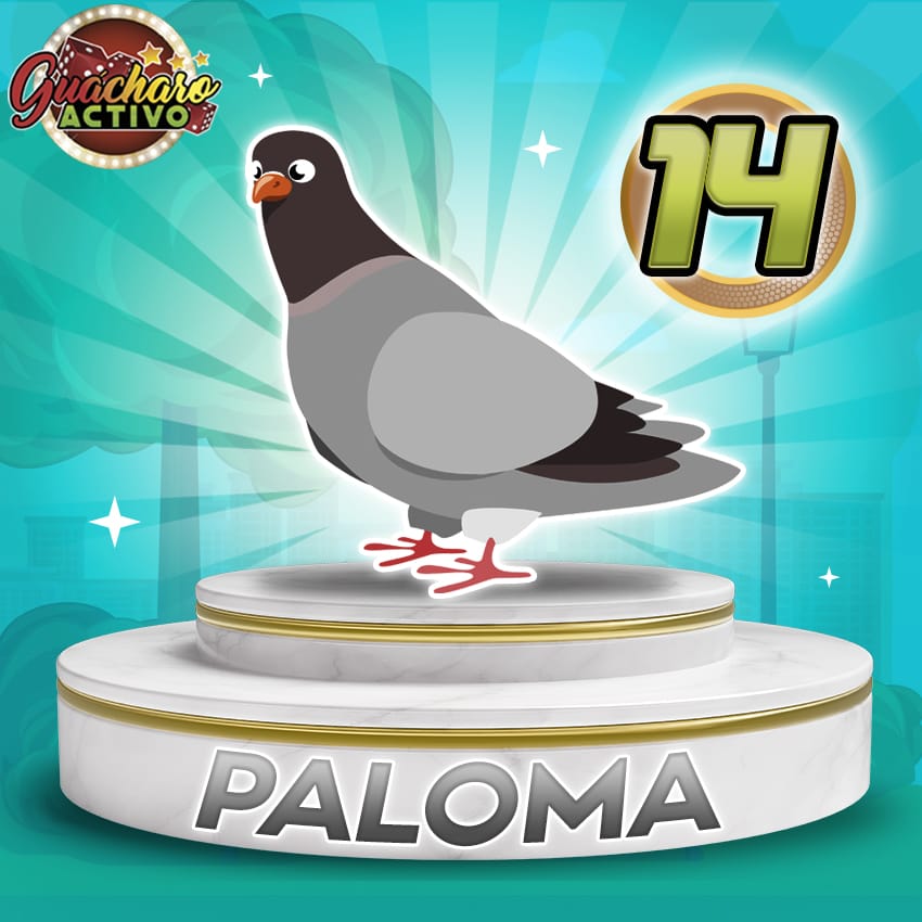 -* GUÁCHARO ACTIVO *- tweet media