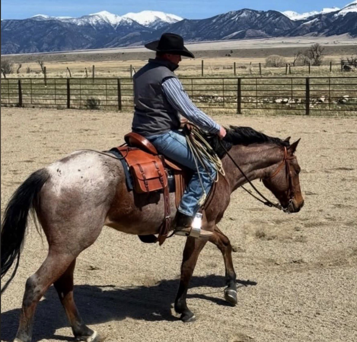 Jeremy_Rich12's tweet image. The summer rodeo season is almost here!🤠🏔️

#montana #ranching #rodeo #westernlifestyle #saddleup