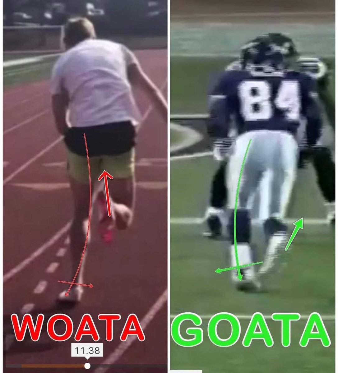 Jesse Morse, M.D. tweet media