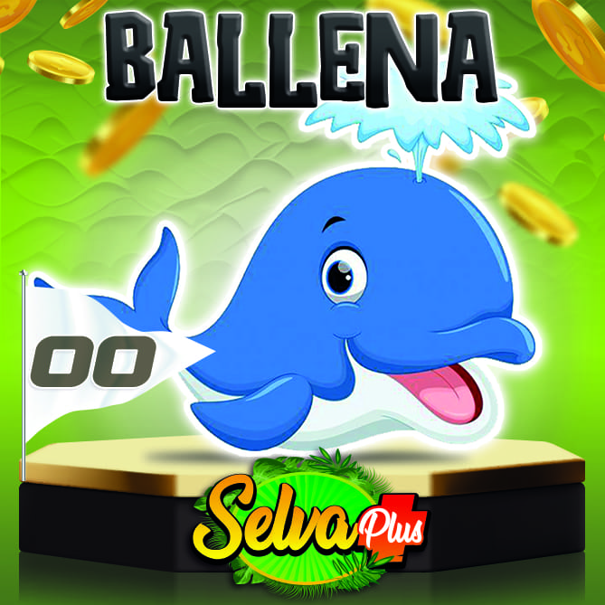 ***SELVA PLUS*** tweet media