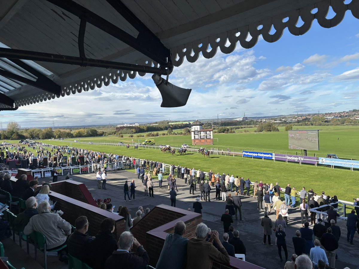 🐦Pigeon🐎Island🐦 tweet media