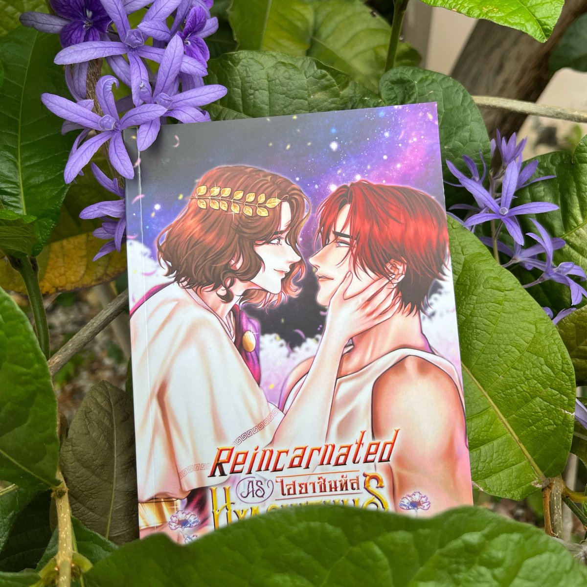 ophelia kim 🌷 tweet media