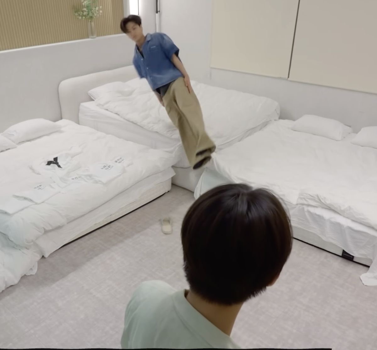 뱀잔디 tweet media