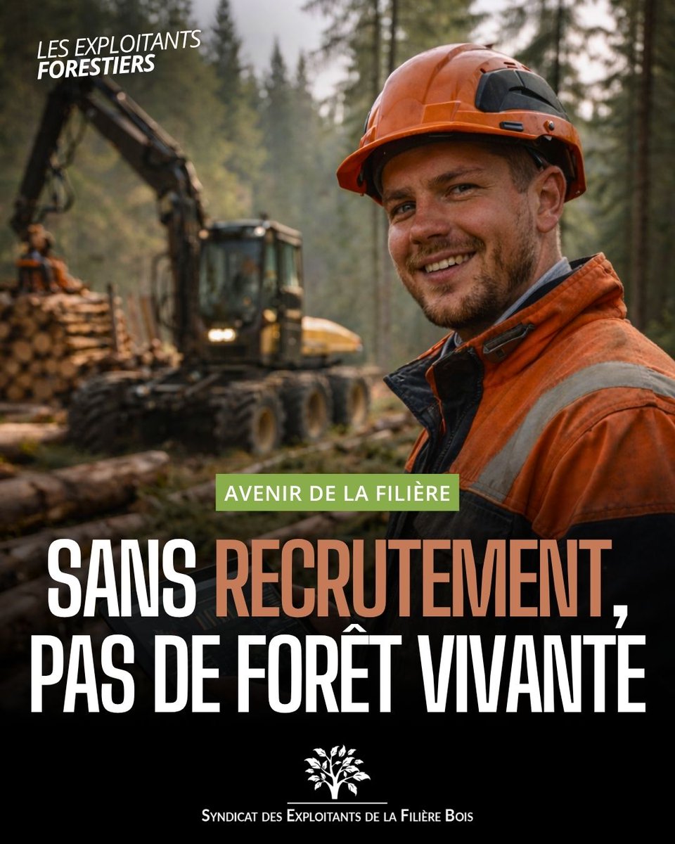 SEFBois's tweet photo. 🌲 La filière forêt-bois manque de bras !

Former, recruter, transmettre : c’est une urgence pour nos entreprises et pour l’avenir de la forêt française.

Sans femmes et sans hommes qualifiés, pas de gestion durable, pas de mobilisation du bois, pas de souveraineté forestière. https://t.co/BuOldEpenH
