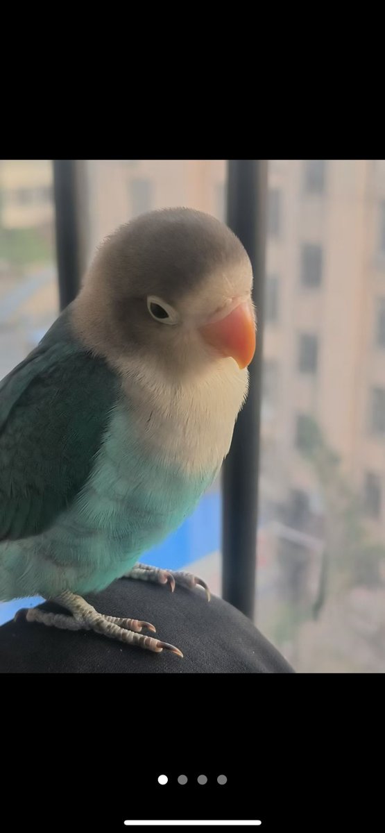 Виктория Мельник tweet media