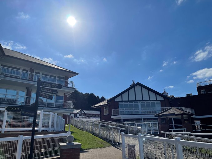 🐦Pigeon🐎Island🐦 tweet media