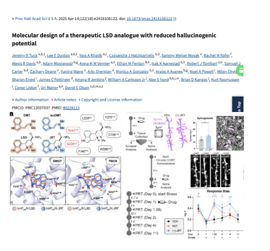 Bryan Johnson tweet media