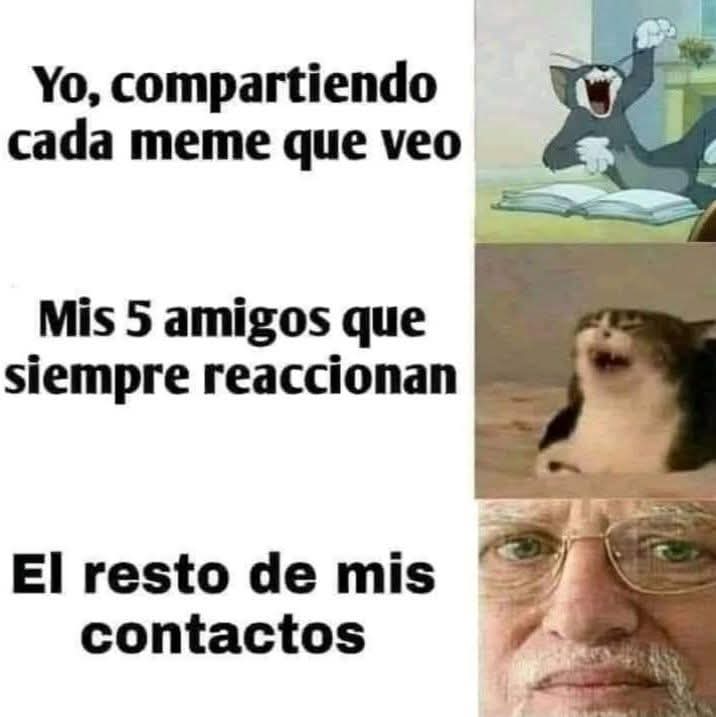 @manuelbobradorista tweet media