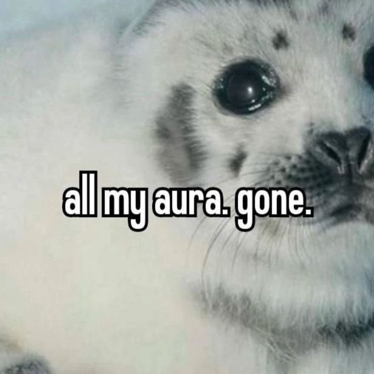 Ghostiel🪽🌙🐀 tweet media