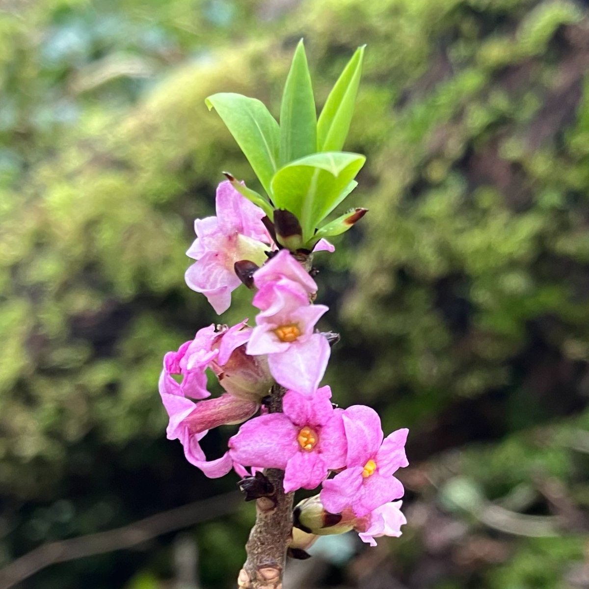 LIFEintheRavines tweet media