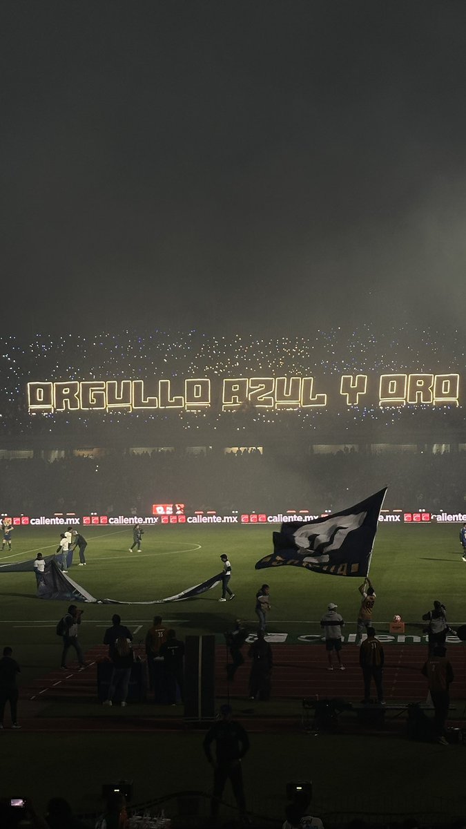 Rey Puma tweet media