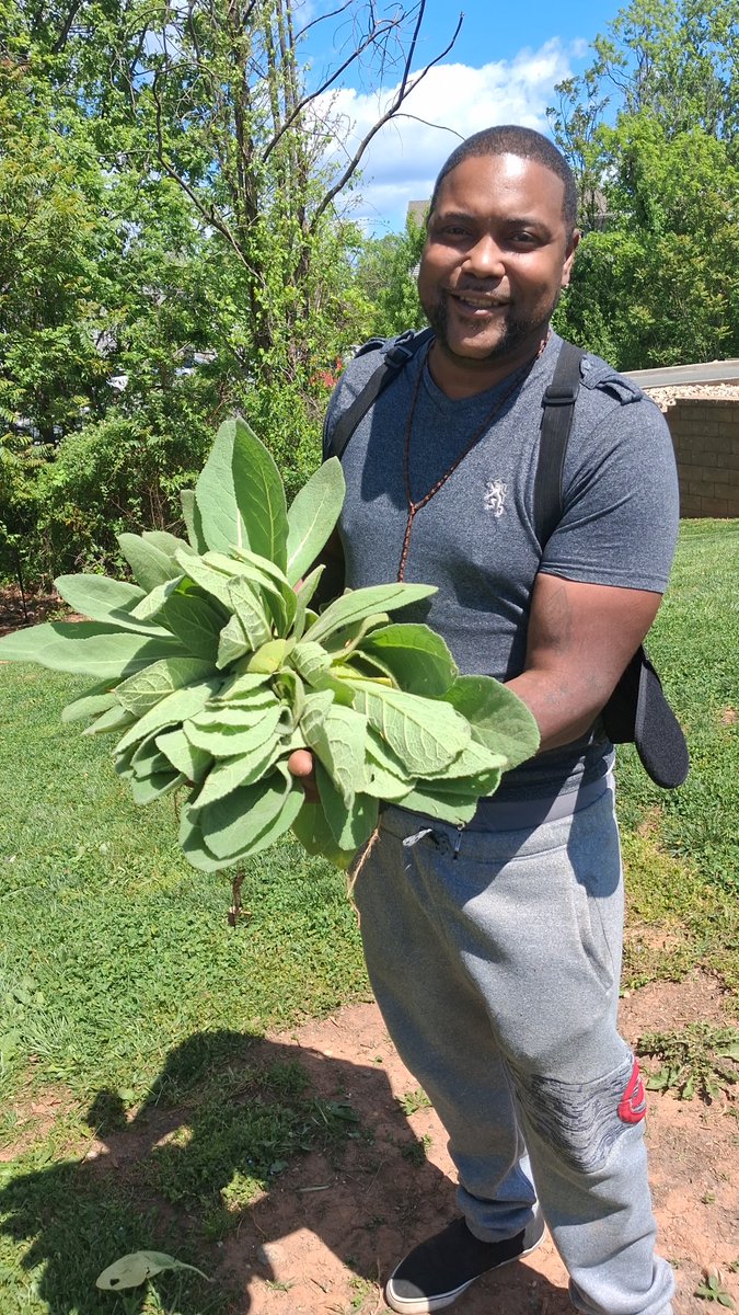 🌿 The Grower 🪴 tweet media