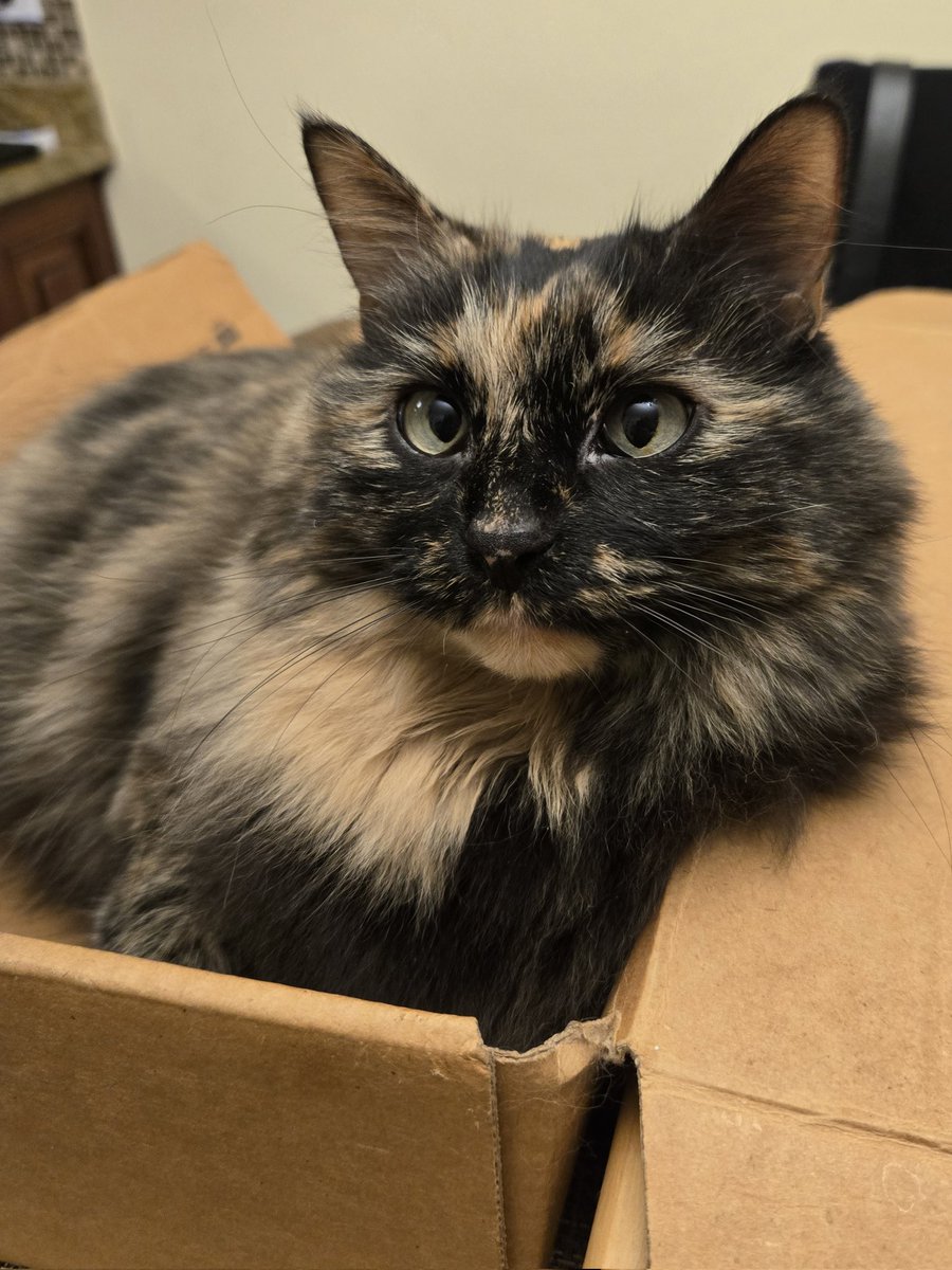 kira 🌼 tweet media