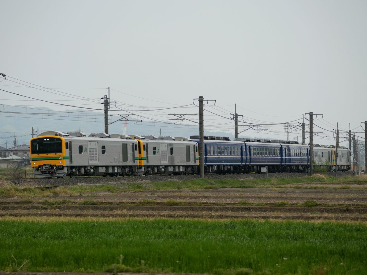 リバティ常磐 tweet media