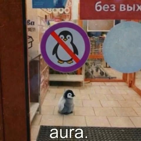 meme.jpg tweet media