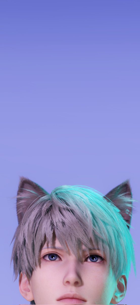 보미🌸 tweet media