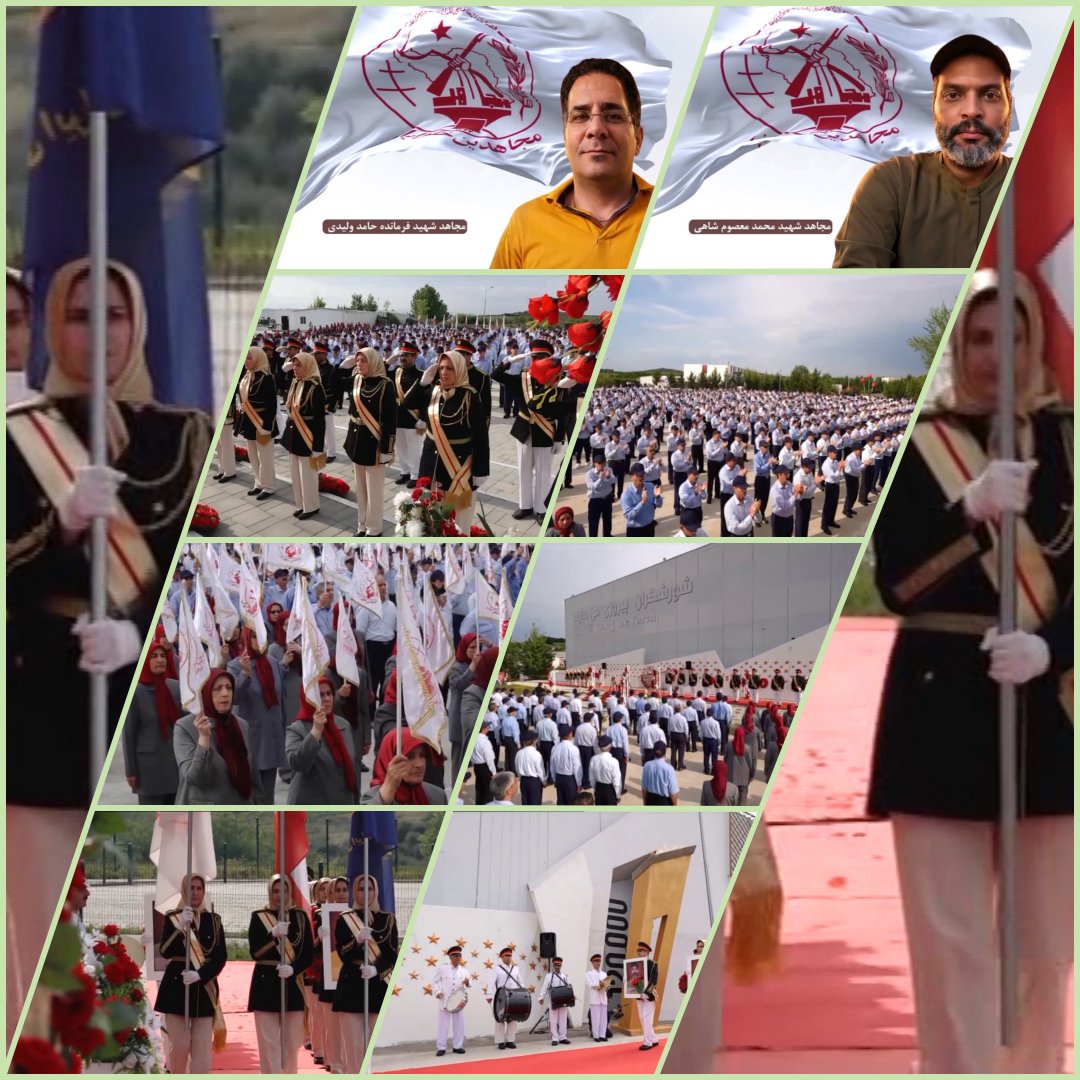 Bita Frozesh tweet media