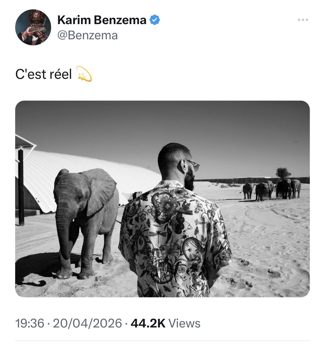 Abdulhadi tweet media