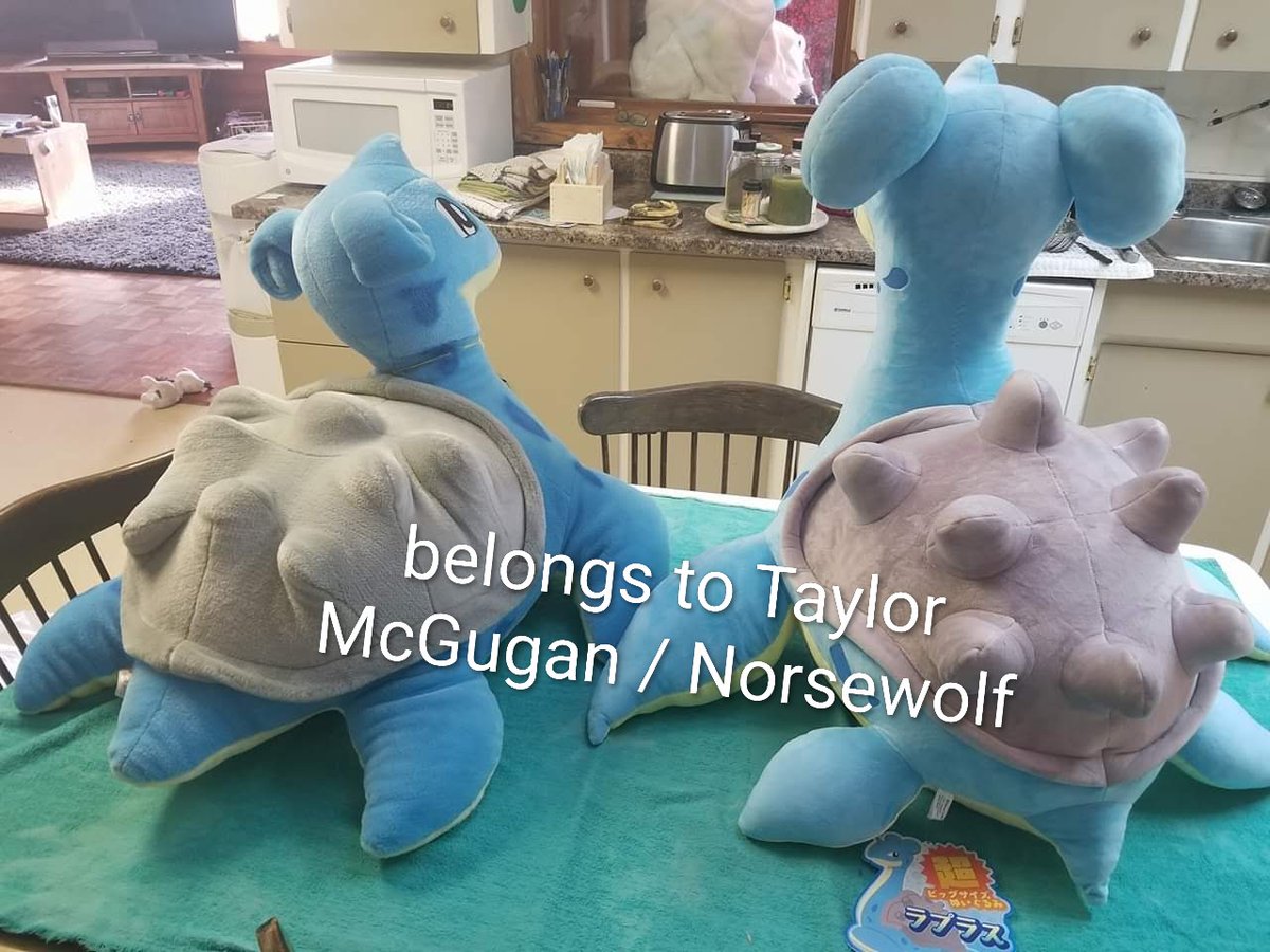wildnorsewolf's tweet image. Any serious Pokemon plush collectors here? I'm also entertaining rehoming my life size Lapras plushies. On the right is the original Pokemon center giant from the early 2000s, it's mint with original carry bag. Both are from Japan with tags attached. #pokemon #plush #lapras