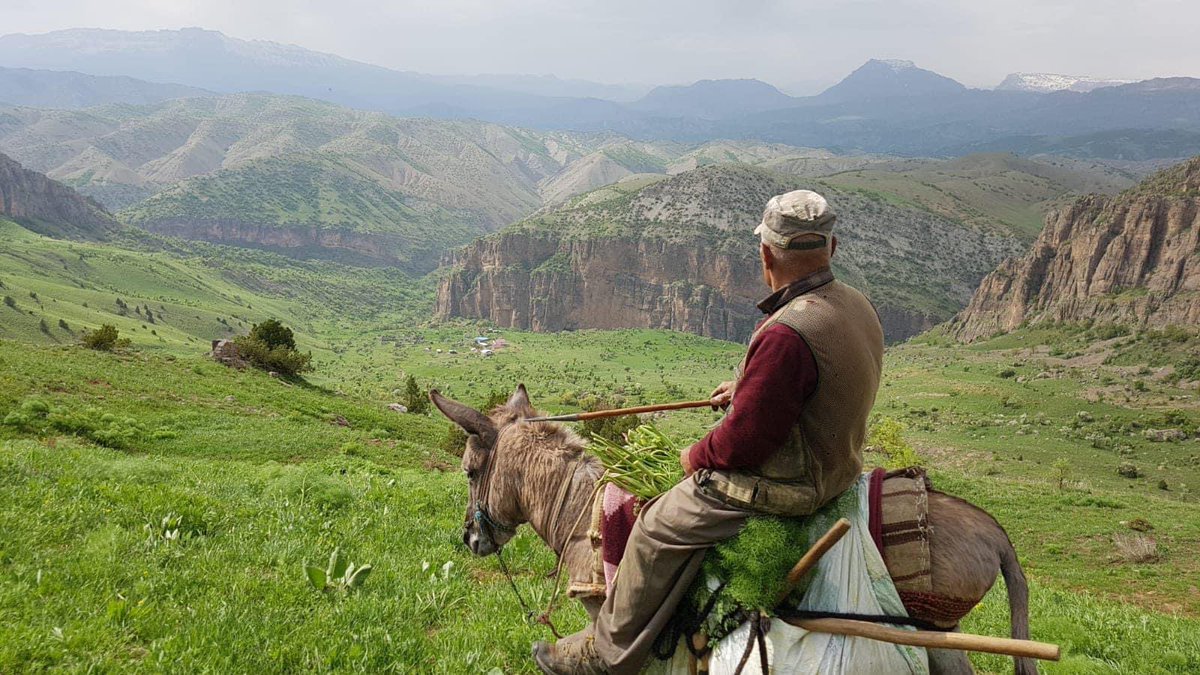 Babam sadece o çok sevdiği toprakları uğuruna canını verebilirdi. Onu satın alamayacaklardı, varlığını istemediler.

#HürmüzDiril
#Rantİçin