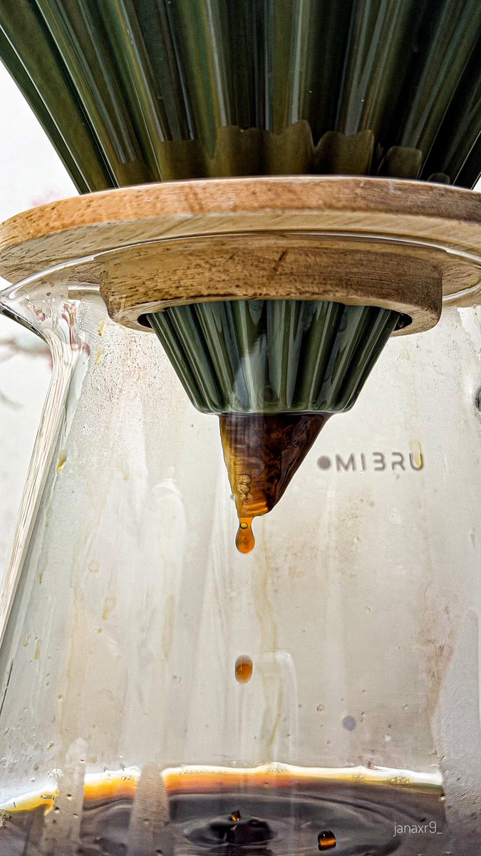 Jana 📸 tweet media