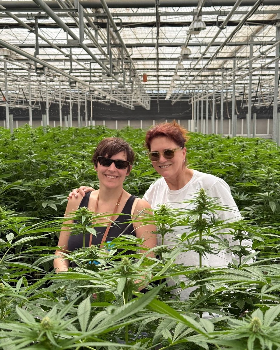 basic_jane_co's tweet photo. Happy 4/20 💚

Celebrating the women shaping cannabis 🌿 As a certified women-owned business, we’re here to educate, empower, and break stigma—every day.

#Happy420 #WomenInCannabis #WomenOwned #BasicJane https://t.co/j2znTQ64iX