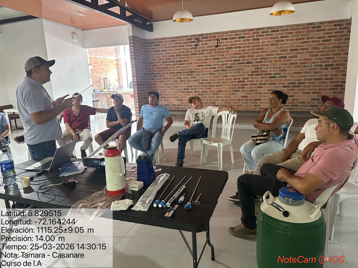 tecnigan's tweet photo. En el municipio de Támara, Casanare, se llevó a cabo con éxito el curso de inseminación artificial, un espacio de aprendizaje enfocado en fortalecer las capacidades técnicas de nuestros productores ganaderos. https://t.co/cTC6mtuV5h