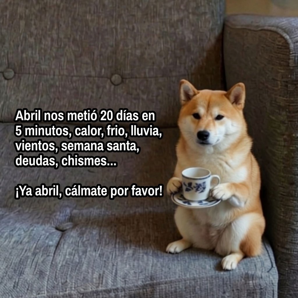 Cap Briagowsky tweet media