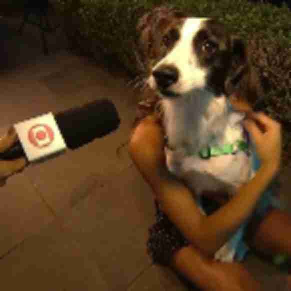 cadela comunitária 🍴 tweet media