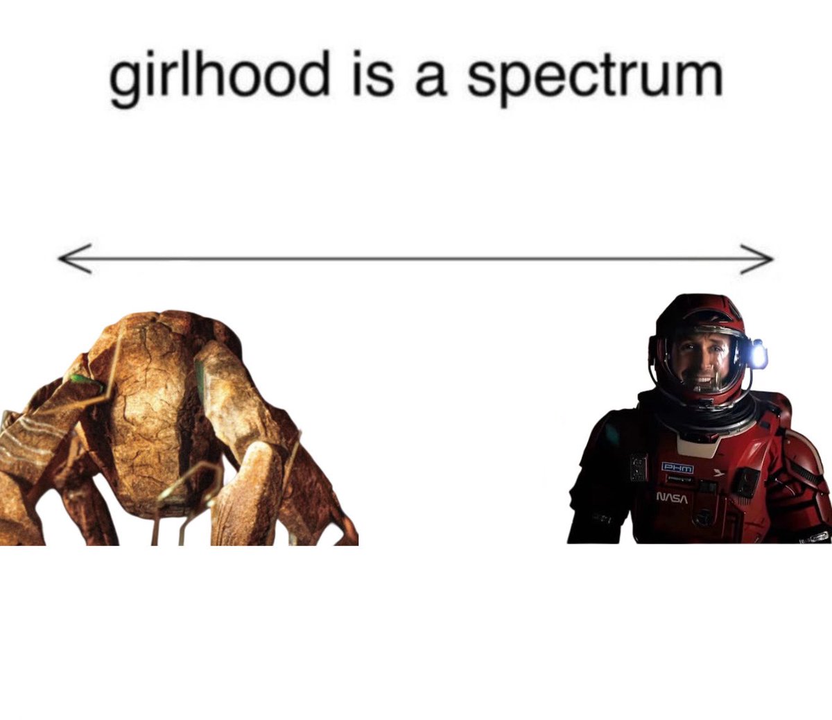 liz ꪆৎ - phm x5 tweet media