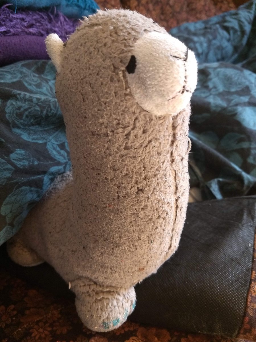 Alpaca tweet media