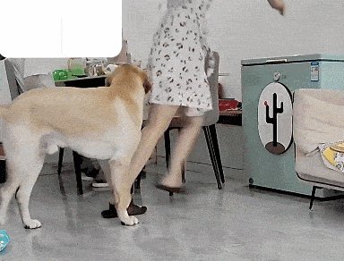 Fatih Barbaros Üte tweet media