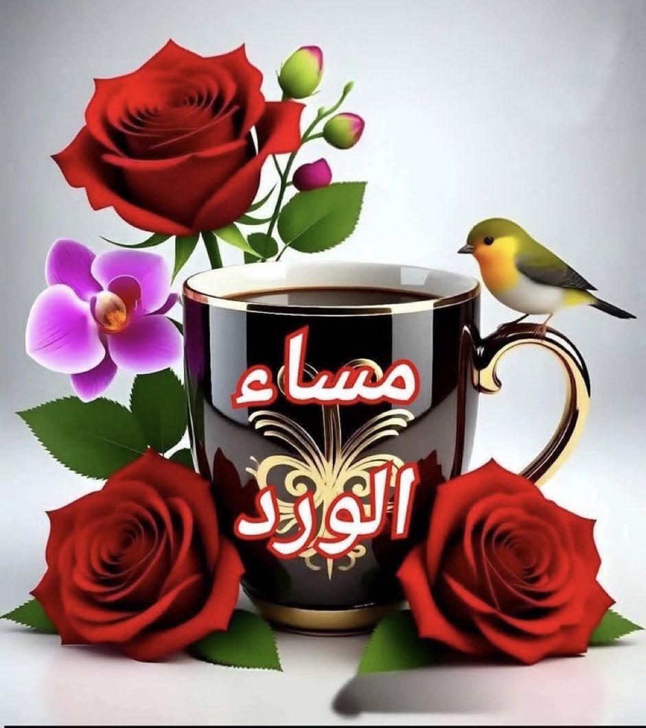 نوره الانوار (@alanwarnwr84310) on Twitter photo 