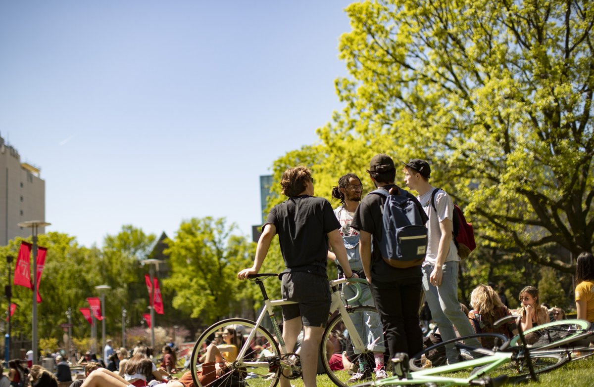 Temple Admissions tweet media