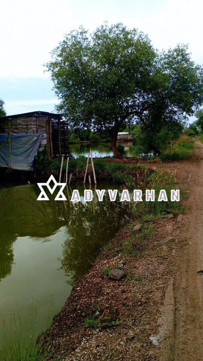 AVarhan tweet media